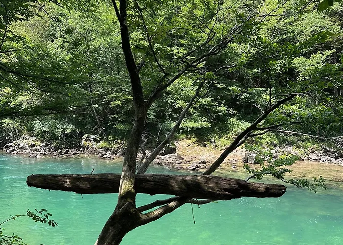 Fethy's House Chalet Brod na Kupi