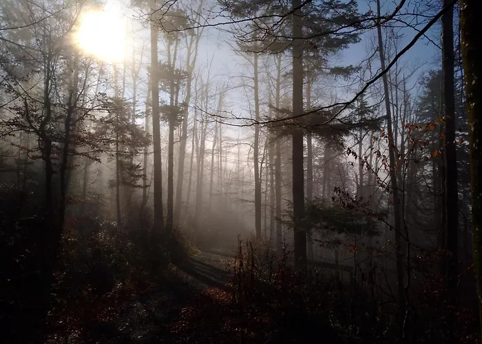 Chalet Fethy's House *