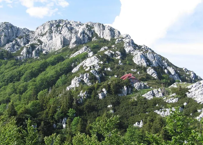 Chalet Fethy's House Brod na Kupi