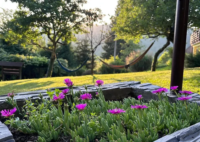 Fethy's House * Brod na Kupi