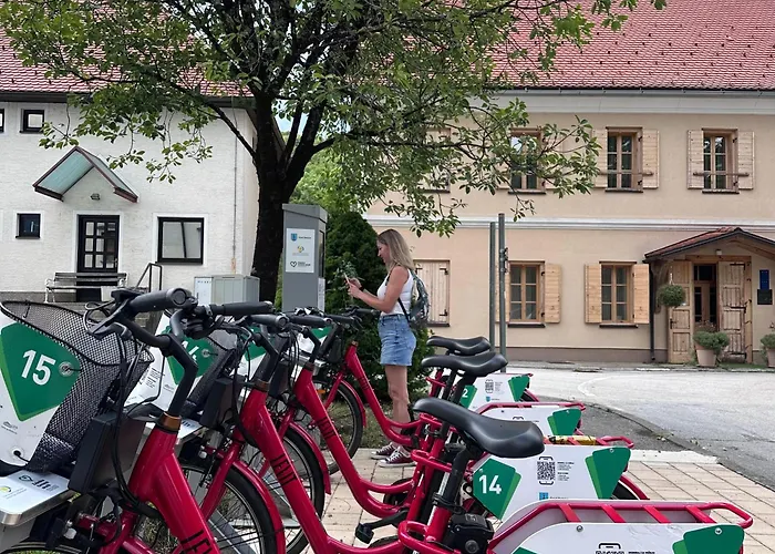 Chalet Fethy's House *